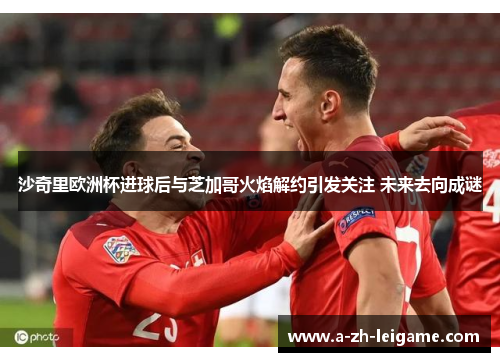 沙奇里欧洲杯进球后与芝加哥火焰解约引发关注 未来去向成谜 沙奇里欧洲杯进球后与芝加哥火焰解约引发关注 未来去向成谜
